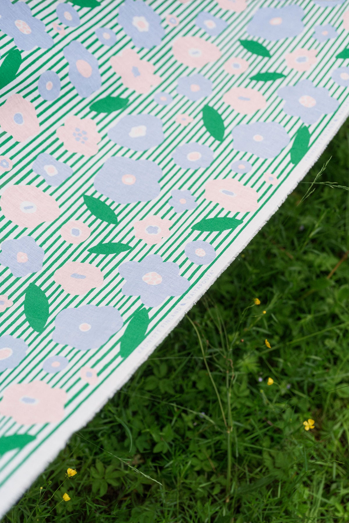 Raitapouta Fabric