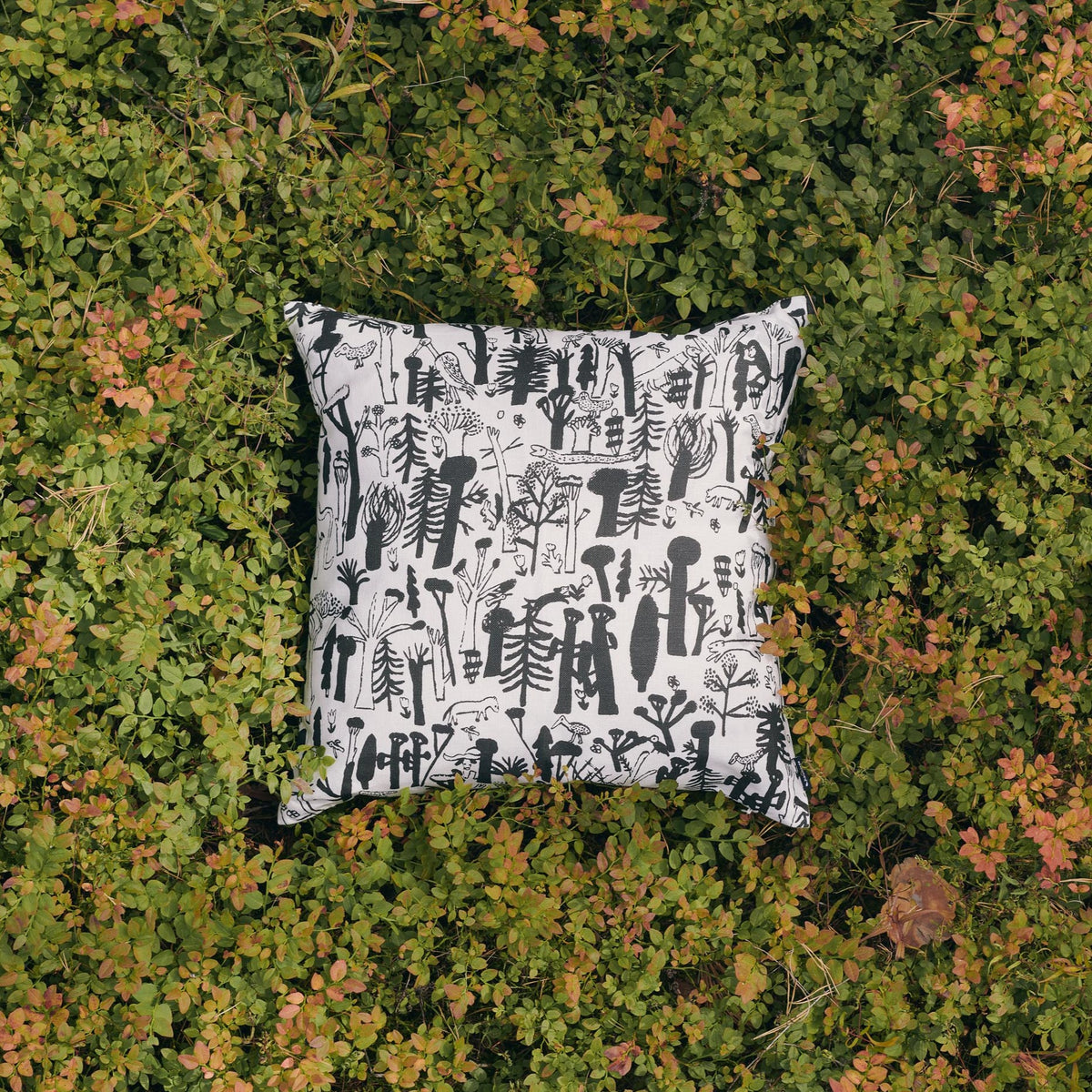 Woodlands Black Cushion Cover